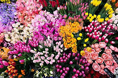 策略新作《野蛮人王国》公布 将通过Steam登陆PC